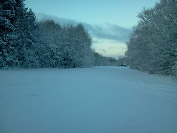 wandeltraject achter de woning (evt. gratis hooien)