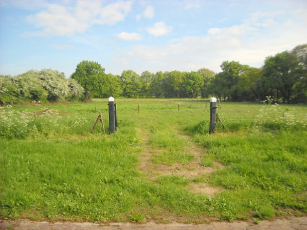 rechter weiland ± 7.500m2 met houtwallen