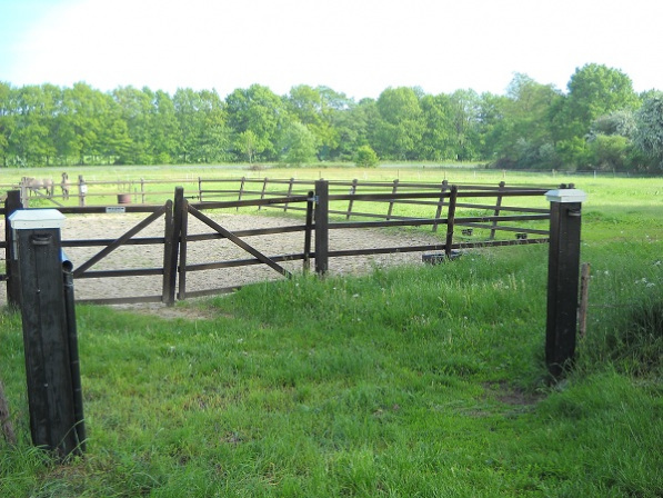 1e weiland t/o boerderij, ca. 12.000m2 (drinkwater en electra)